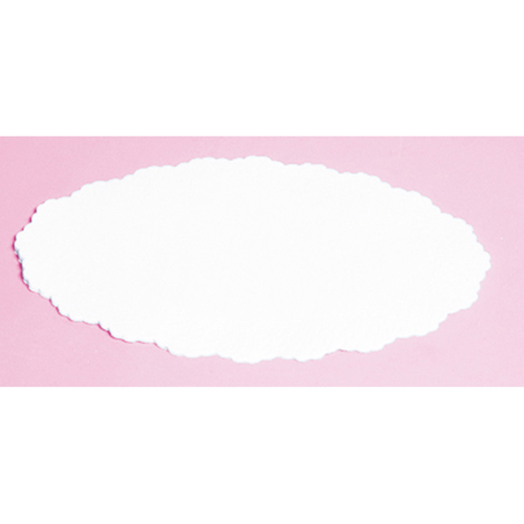 Plattenpapier 16 x 24 cm (500 Stück) Zur Unterlage auf Servier- & Tortenplatten einsetzbar 16 x 24 cm